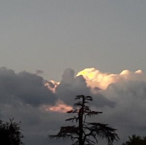 Meet your Posher, Judith